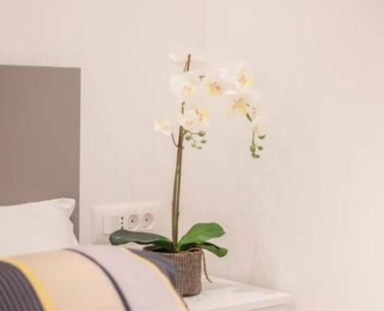 Canta Amore Suites Zadar Apartment